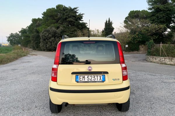 fiat panda gialla