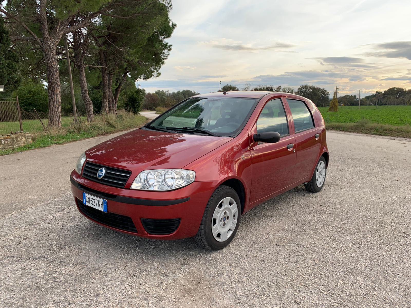 fiat punto usata