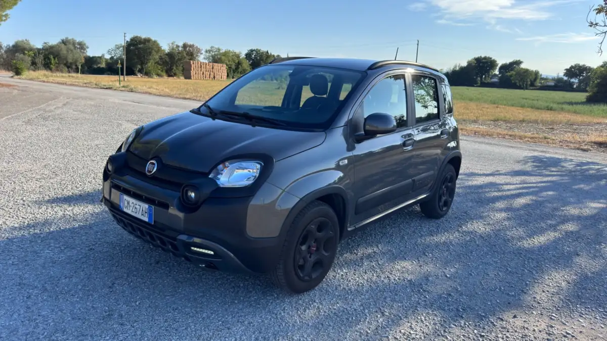 Fiat Panda Cross 1.0 FireFly S&S Hybrid — foto 1 di 19